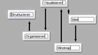 Organize test 1