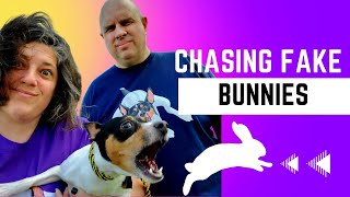 Fast Cat for Beginners | Everything You Need to Know