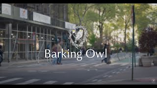 Barking Owl - NYC Office Tour