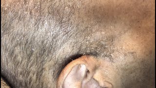 Late Night Dandruff Scratching ft. MY DAD! 😭 | RIH Daddy ❤️ *minimal talking* PT. 2!