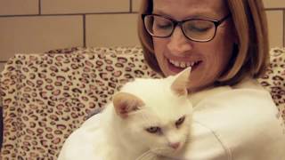 Testimonial Video | Volunteer | Video Production | Fort Wayne, IN