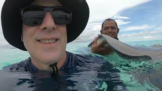 Snorkeling, Stingrays and Starfish | Cayman Islands