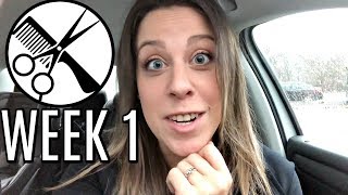 Cosmetology School ⎹ Week 1