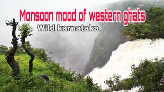 Monsoon mood of western ghats | Wild Karnataka | Incredible India