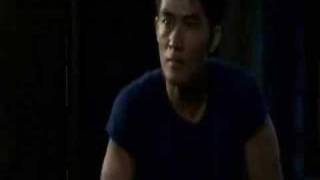 The Ecstasy of Van Damme