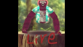 JOIN! MINGAMES AND MORE! GTAG LIVE!