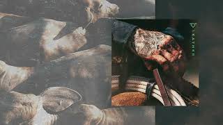 Cody Johnson - Long Live Country Music (feat. Brooks & Dunn) [Visualizer]