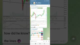 No One Reads Nasdaq and Forex Markets Like Us 🫡