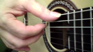 Greg Askins and Joe Parisi of Nylon Wound playing some Classical Guitars