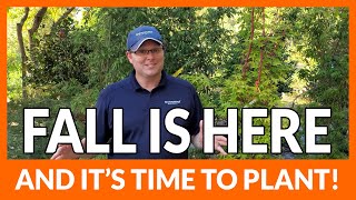 Fall is Here - And It's the Perfect Time to Plant!
