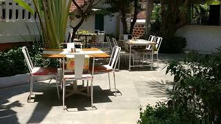 Mustard, Goa ( Run through )