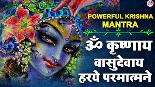 Krishnaya Vasudevaya | कृष्णाय वासुदेवाय | Krishna Mantra 108 Times
