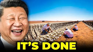 China Buried Tons of Oyster Shells in Dead Land — Years Later, What Changed Shocked the World