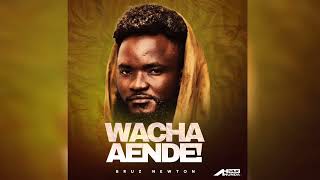 Bruz Newton - Wacha Aende (Official Audio Visualizer)