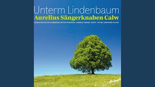 Notturno in H-Dur für Streichorchester, Op. 40