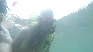 Mysterious Ocean Goby and Two Wild Pups