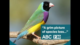 Land Clearing and Species Loss - ABC News