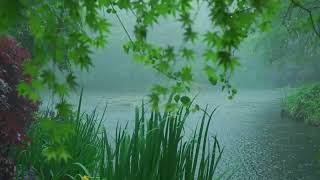 The beautiful little river is raining(391) , sleep, relax, meditate, ASMR, Real Shot