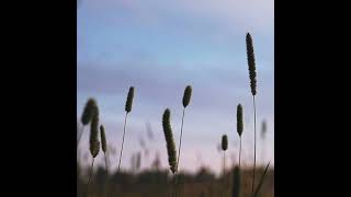 tomi.kristian - Autumn