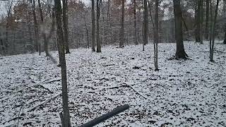 snow hunt!