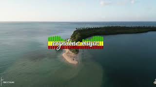 Pure Reggae 🌴💛 | Slow & Lovely Roots Vibes | Relax, Unwind & Feel Good All Day