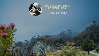 From Sound to Song: A Deeper Look with Shahzad Ismaily
