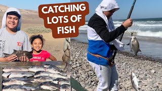 Namibia's Hidden Fishing Spot - A Fisherman's Paradise - Terrace Bay (NWR)