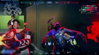 Meow16K Monthly Montage Powered by Micron