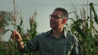 On a Mission to grow crops where nothing grows