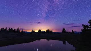 Relaxing Music, Peaceful Music, Sleep Music, Study Music | Calm Piano Music with Nature Videos