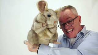 Folkmanis® Gray Mouse puppet demo