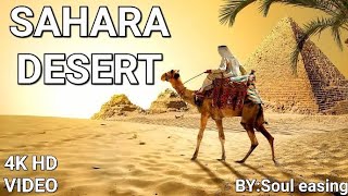 4k Sahara Desert (HD) video | Best Drone shorts | Relaxing Nature Music