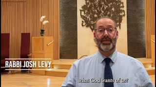 Rabbi Josh Levy
