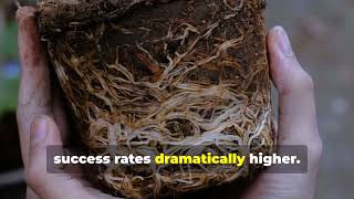 One Tree = Infinite Plants 🌿  The Forgotten Rooting Secret That Beat Chemicals