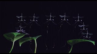 Crane fly-inspired RoboBee landing