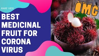 ಮಲಯ ಮುಳ್ಳಿ ಹಣ್ಣಿನ ಉಪಯೋಗಗಳು/USES OF RAMBUTAN FRUIT IN KANNADA