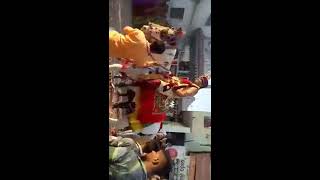 #Horse #Wedding #Dancing | Horse #Dance | Animal Dance | #Bollywood song |