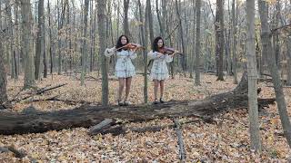 My Way - Frank Sinatra - Twin Violins / viola cover / Our Jorney from Bulgaria to Chicago