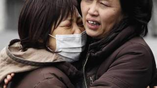 Japan Earthquake and Tsunami "Shelter" Tribute Jars of Clay