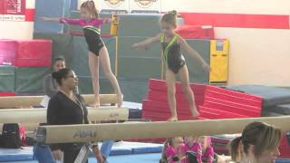 Nadia Comaneci Invitational