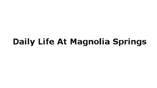 Daily Life at Magnolia Springs Senior Living