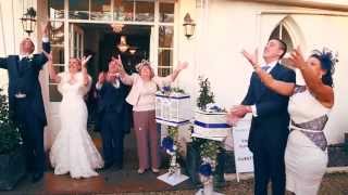 Wings of White Dove Release for Wedding