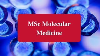 Molecular Medicine MSc | Open Day | University of Leeds
