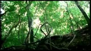 Natures Miracle   Sri lanka with Fundoo Vacations