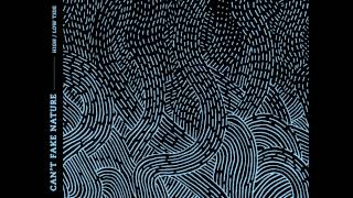 Can't Fake Nature - Waves For The Psychonauts