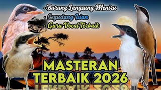 MASTERAN TERBAIK 2026 GURU VOCAL TERBAIK, SEGUDANG ISIAN BURUNG LANGSUNG MENIRU, DURASI PANJANG