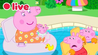 Peppa Pig NEW BABY EVIE Episodes LIVE 🍼 Cutest & Funniest Moments 🥹💛 Kids Cartoons