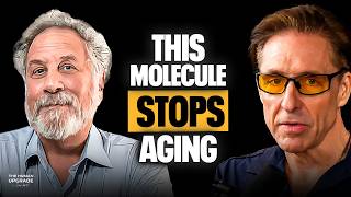 Molecular Science of Longevity: Can You ACTUALLY Live Past 120 Years? | Andrew Salzman