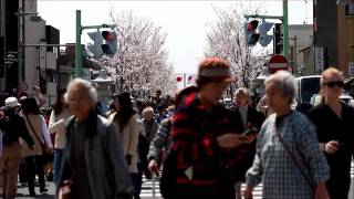 Luka Kuplowsky - I Count The Years [Official Video]