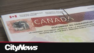 More than half of Torontonians agree with current reduced immigration levels: poll